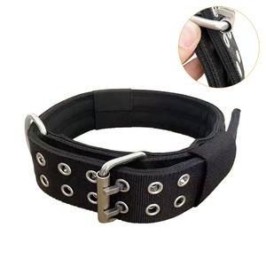 <span class=keywords><strong>Collar</strong></span> de perro ajustable de nailon para mascotas de entrenamiento táctico de 2 pulgadas de ancho para exteriores con forro cómodo y hebilla resistente - Product Image 1