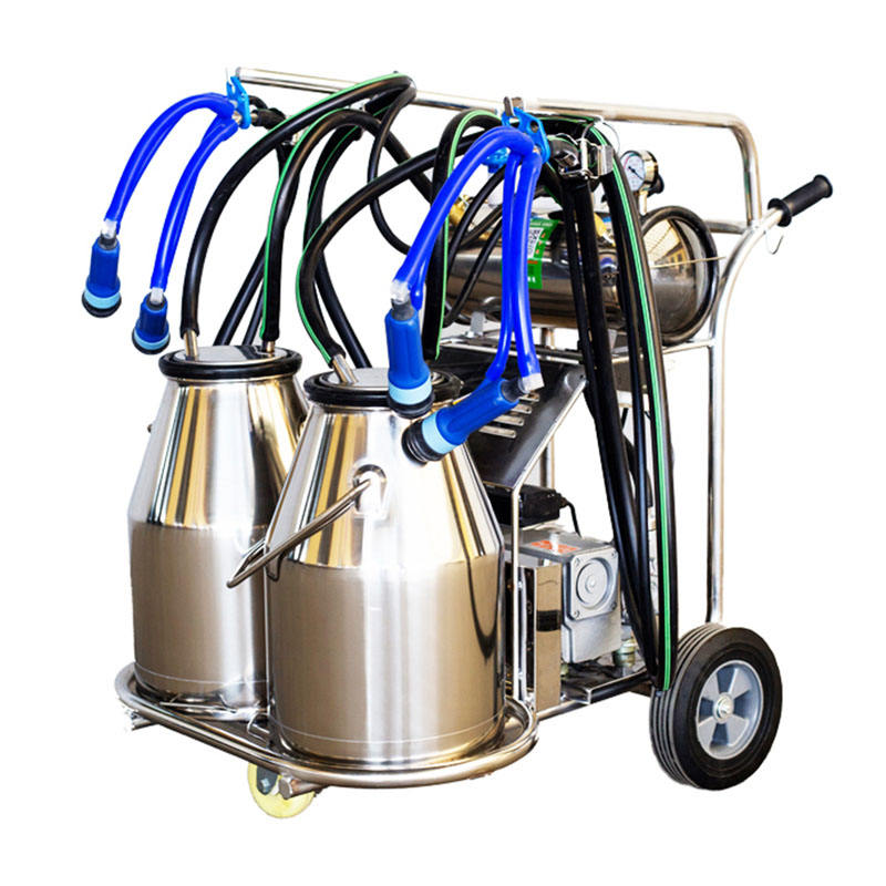 Melkmaschine brüste