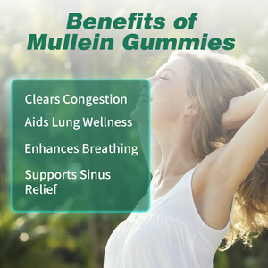 Gomitas de Verbasco al por Mayor OEM, Suplementos Herbales de Marca Privada, Apoyo Inmunológico, Limpieza Respiratoria Pulmonar, Gomitas de Verbasco para los Pulmones - Product Image 5
