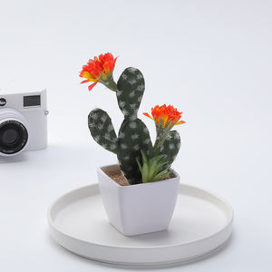 Plante verte petit Pot Cactus en pot intérieur figue de barbarie succulente fleur plante bureau décoration de bureau - Product Image 4