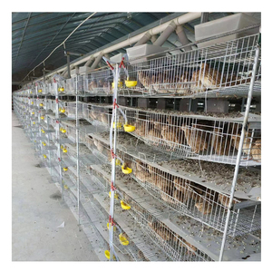 Cage à poules pondeuses <span class=keywords><strong>de</strong></span> type H pour élevage <span class=keywords><strong>de</strong></span> cailles commercial, capacité <span class=keywords><strong>de</strong></span> 360 cailles, fournie par l'usine - Product Image 1
