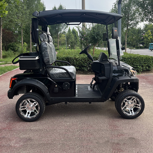 Carrito de Golf de 2 Plazas Apto para Campos de Golf, Equipado con Baterías de Litio/Plomo-Ácido Personalizables de 48V/60V/72V - Product Image 4