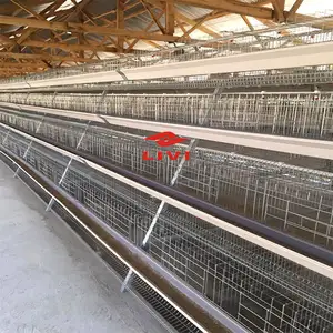 Sistema automático de jaulas en aves de corral 4 niveles A tipo jaula de pollo capa jaula para aves de corral para pollos de capa para 10000 aves