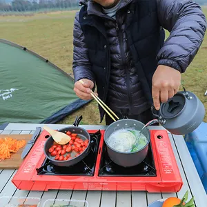 Groothandel Elektrische Kerosine Lpg Butaan Camping Draagbare 2 Dubbele Brander Gasfornuis Met Stand