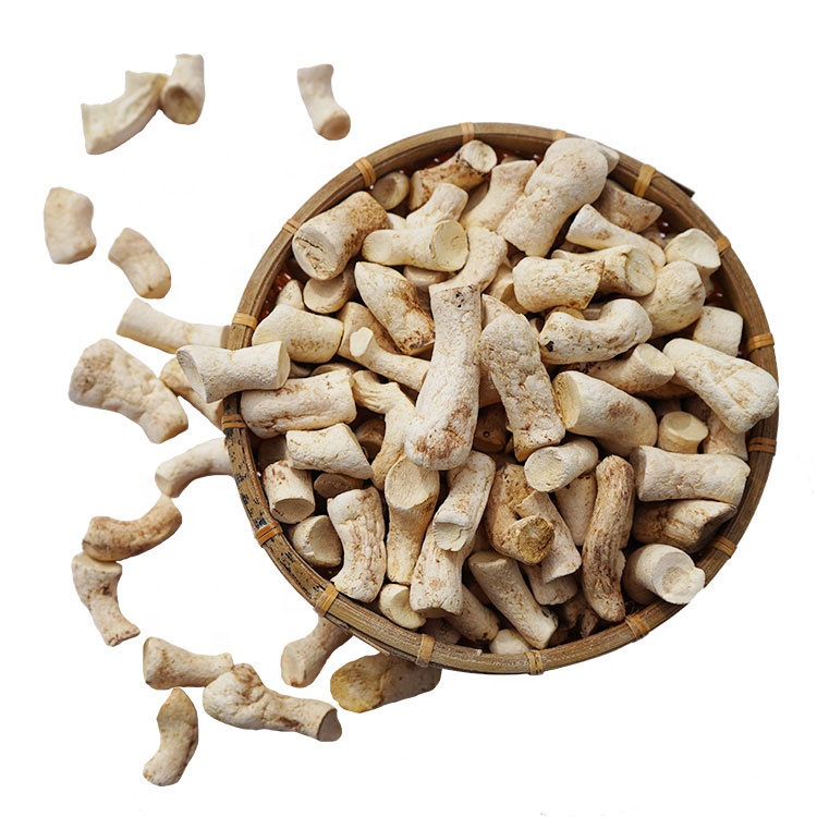 Excellent Quality Premium Stem Treated Dehydrated Mushroom champignon root