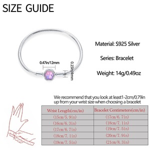 Pulsera de Plata de Ley 925 con Dijes de Circonita en Forma de Pata, Venta al por Mayor - Product Image 4