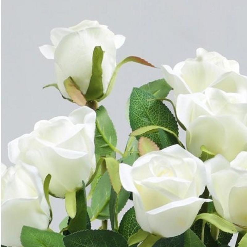 Two thin milky white branches