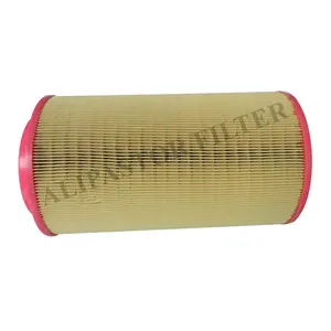Factory Directly Supply Compressor Parts 23843733 Air Filter Hepa
