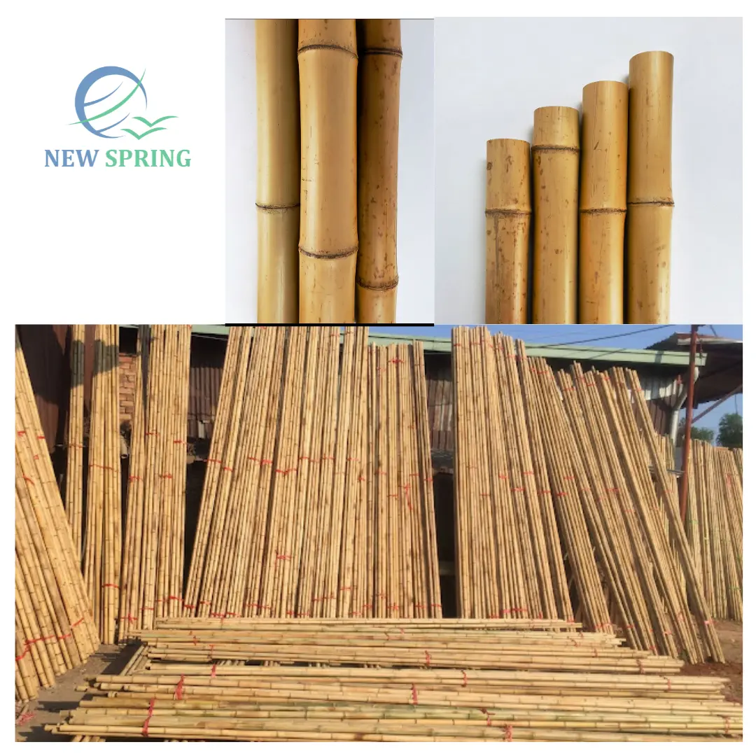 Bamboe Stok Bamboe Staken Bamboe Palen Voor Tuinhek Massief Bamboe Paal