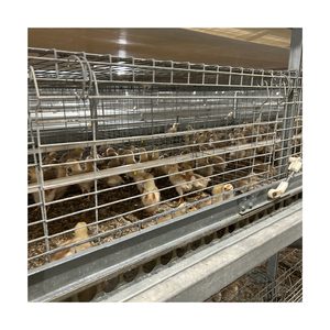 Volaille ferme <span class=keywords><strong>jour</strong></span> vieux bébé <span class=keywords><strong>poussin</strong></span> incubateur Cage <span class=keywords><strong>à</strong></span> poulet <span class=keywords><strong>à</strong></span> <span class=keywords><strong>vendre</strong></span> - Product Image 1