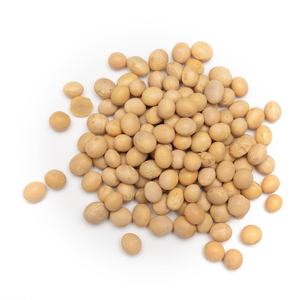 Soja de Tanzania, Sin GMO, Alto Contenido Proteico, Grado A, Soja Cruda, Suministro a Granel - Product Image 2