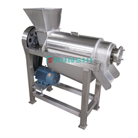 Machine Vruchtensap Professionele/Wortel Sap Making Machine