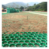 Pavé en plastique de grille de plantation d'herbe de HDPE/tapis d'allée de grille pour l'utilisation extérieure de parc de paysage de jardin pour le pavage de plantation d'herbe