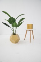 Pot de fleurs élégant pour salon, design moderne, luxueux, pour plantes, décoration