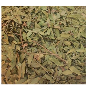 Estratto Naturale di <span class=keywords><strong>Vanda</strong></span> Roxburghii in Polvere Liofilizzata - Fornitore di Polvere di Estratto Secco che Offre Materia Prima Vegetale Premium all'Ingrosso - Product Image 1
