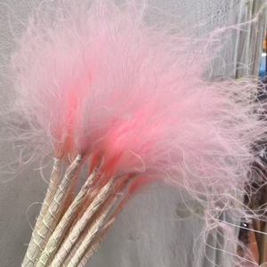 <span class=keywords><strong>Fiori</strong></span> Secchi di Erba della Pampa Colorata all'Ingrosso, Decorazioni Naturali per Casa Boho e Composizioni Floreali per Matrimoni - Product Image 4