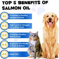 Huile de saumon liquide en gros avec Oméga-3 EPA+DHA pour un pelage brillant et anti-chute pour chats et chiens, santé de la peau et du pelage, personnalisation OEM