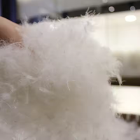 Usine en gros 90% duvet d'oie blanche/10% plume d'oie matériau de remplissage pour oreiller de couette