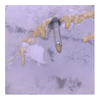 Remplisseur d'étanchéité en polyurée liquide de jointoiement cimentaire à haute élasticité pour le revêtement de mur de Joint de dilatation de Construction en béton