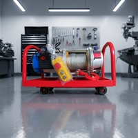 Palans électriques à câble de 500 kg de style italien, 220V/380V avec roues métalliques, télécommande sans fil en option