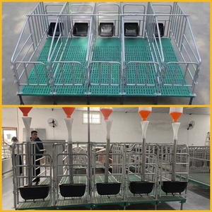 Caisse de gestation pour truies galvanisée <span class=keywords><strong>cages</strong></span> pour porcs caisses cage d'élevage pour équipement agricole - Product Image 6