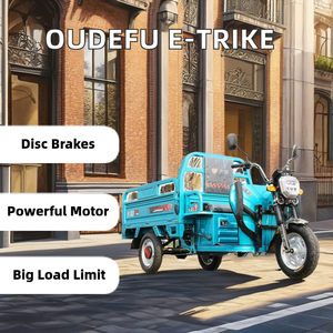 Oudefu sepeda olahraga elektrik kabin mobil makan Mobile dengan fasilitas pengisian kargo dewasa penjualan sepeda motor roda tiga dari Cina - Product Image 5