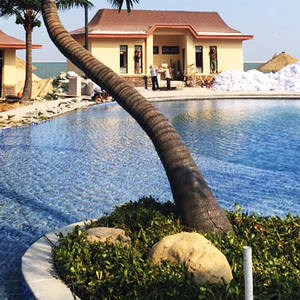 SPYZS6 Personnalisation Palmier Cocotier Artificiel Synthétique Pour Hôtel <span class=keywords><strong>Villa</strong></span> 5 Étoiles Projet D'ingénierie Jardin Aménagement Paysager - Product Image 4