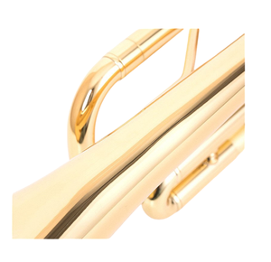 Trompette Bb professionnelle pour joueurs adultes et débutants - Product Image 2