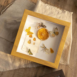 Caja de Exhibición de Madera Natural para Especímenes de Mariposas, Personalizable OEM/ODM, Marco Botánico de Marca Privada para Venta al Por Mayor - Product Image 1
