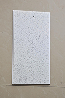 Panel de techo de fábrica Tablero de techo de Pvc de transferencia de 250mm de ancho Ranura media blanca