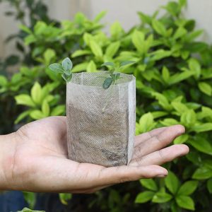 Bolsas <span class=keywords><strong>de</strong></span> cultivo <span class=keywords><strong>de</strong></span> <span class=keywords><strong>vivero</strong></span> personalizadas Bolsa <span class=keywords><strong>de</strong></span> cultivo <span class=keywords><strong>de</strong></span> plántulas <span class=keywords><strong>de</strong></span> <span class=keywords><strong>tela</strong></span> no tejida <span class=keywords><strong>para</strong></span> plantar plántulas - Product Image 3