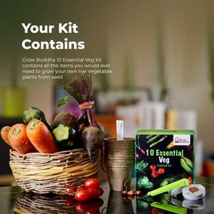 USDA-kit de herramientas de mano para jardín para niños, hierba de rábano, zanahoria, tomate, cereza, no GMO, orgánica, certificado, para interior - Product Image 5