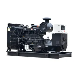 Diesel Generator Set Met Cummins Nt855 Serie Motor 300kva 350 Kva 400kva Elektrische Generatie