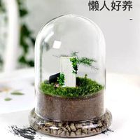 Cloche en verre avec base en verre 15*20cm, vase de table pour présentation