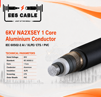 Câble d'alimentation moyenne tension NA2XSEY 1 conducteur en aluminium, isolé XLPE, gaine PVC, non armé, conforme à la norme IEC 60502-2