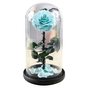 Longue tige conservée roses simples vrai durable <span class=keywords><strong>jardin</strong></span> fleurs roses dans le dôme de verre avec boîte-cadeau pour noël saint-valentin - Product Image 5