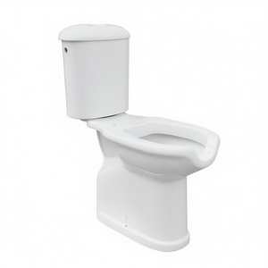 Inodoro y Cisterna Monobloque para Personas con Discapacidad, Desagüe de Suelo, 40.3 cm de Ancho, 54 cm de Altura, 77.6 cm de Largo - Product Image 2