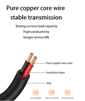 Câble USB Type C mâle vers connecteur 2 broches 20AWG 5V 5A, pour applications créatives DIY et autres connexions d'interface Type C