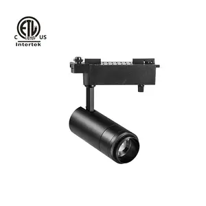 Daytonled Leica B Zoom Series Museum Gallery Ra90 Ra95 North America ETL List 20W 30W Architectural Adjustable Led Track Light