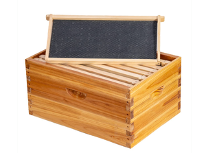 Colmena Langstroth Completa <span class=keywords><strong>de</strong></span> 4 Niveles Caja <span class=keywords><strong>de</strong></span> 10 Cuadros y 8 Cuadros Kit <span class=keywords><strong>de</strong></span> Inicio <span class=keywords><strong>para</strong></span> Colmena <span class=keywords><strong>de</strong></span> <span class=keywords><strong>Madera</strong></span> Recubierta con <span class=keywords><strong>Cera</strong></span> <span class=keywords><strong>de</strong></span> <span class=keywords><strong>Abeja</strong></span> con Cuadros - Product Image 2