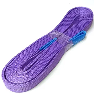 1Ton 2M Safty Factor 4:1 Webbing Sling High Quality Customized Polyester Webbing Sling For Lifting