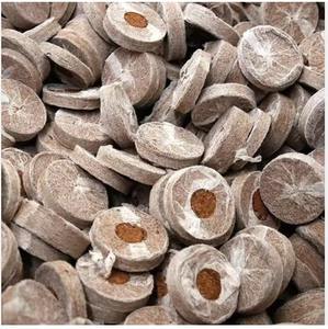 Turba de Coco Orgánica, Fibra de Coco, Medio de Cultivo para Plantas, Hidroponía, Acondicionador de Suelo para Invernadero - Product Image 1