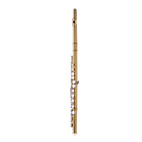 Professional C Key Flutes Closed 16 Hole Cupronickel Gold-plated Tube Silver-plated Keys Woodwind Instrument Flute for Beginner