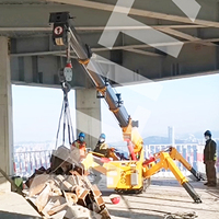 Grue araignée Tonlita avec nacelle, bras articulé, ventouse à vide pour verre, CE EPA EURO 5 2T 3T 5T 8T
