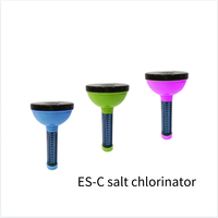 Chlorateur au sel efficace pour piscine, robot/nettoyeur pour piscine et spa, utilisé pour la désinfection ES-C 2g/h