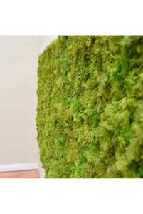 Penjualan Terlaris 25X25CM UV Hijau Tahan Api Alas Lumut Rusa Buatan Gulungan Rumput Tanaman Luar Ruangan Pagar Boxwood Dekoratif Dinding - Product Image 3