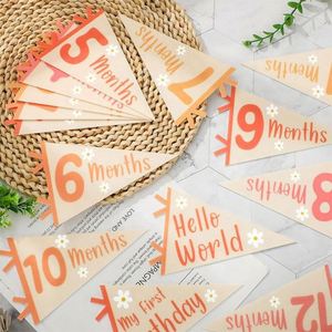 Bandera Triangular de Fieltro Personalizada con Logotipo Sublimado, para Cumpleaños de Bebés, al por Mayor, Precio Bajo, Alta Calidad - Product Image 5