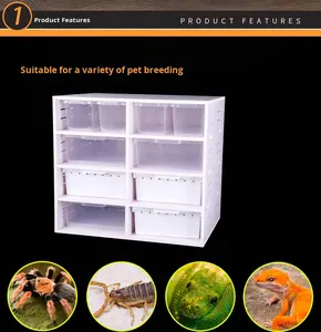 Armoire d'escalade Boîte d'élevage de reptiles Ensemble d'habitat de boîtier de jouet en PVC pour l'élevage de reptiles et d'amphibiens - Product Image 6