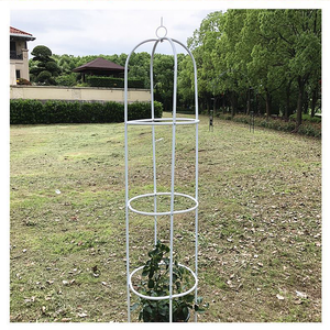 Soporte para Plantas DaringFish, Estilo Europeo, Columna para Balcón, para Plantas en Maceta, Rosas Trepadoras, Resistente a la Oxidación, Metal Recubierto de Plástico - Product Image 2