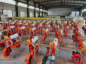 Scierie à bande de coupe de bois portable maison approuvée par l'EPA à <span class=keywords><strong>vendre</strong></span> - Product Image 6